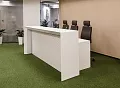 ресепшн Экстра Лонг
