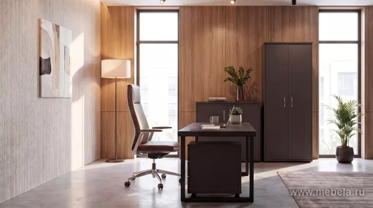 кабинет Статус Графит