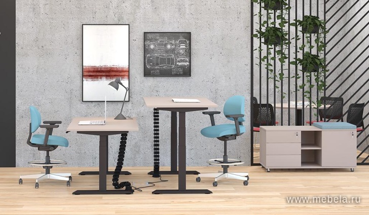 мебель Motum Plus