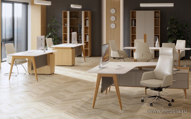 кабинет Remo White