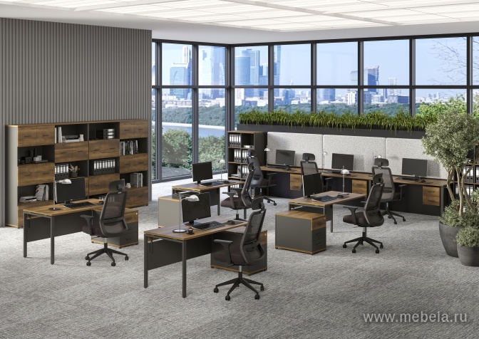 мебель Concept Light