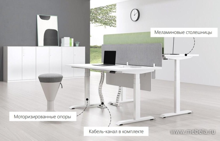 мебель Motum Plus