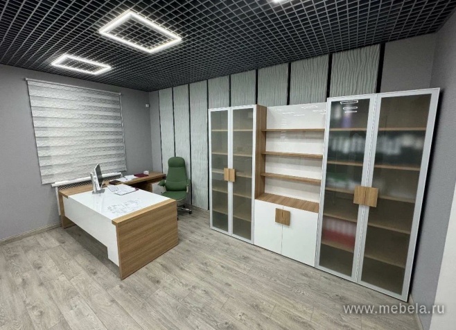 кабинет Kyu DM +