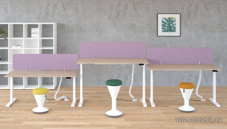 мебель Motum Plus