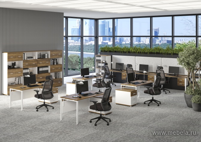 мебель Concept Light