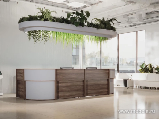 стойка ресепшн Агат