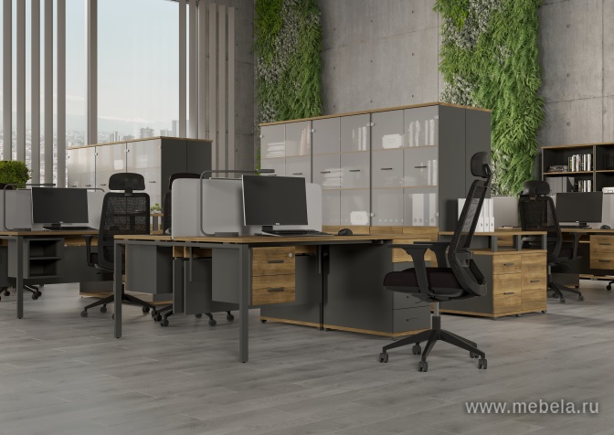 мебель Concept Light