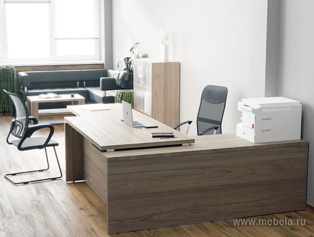 кабинет Yalta Elm