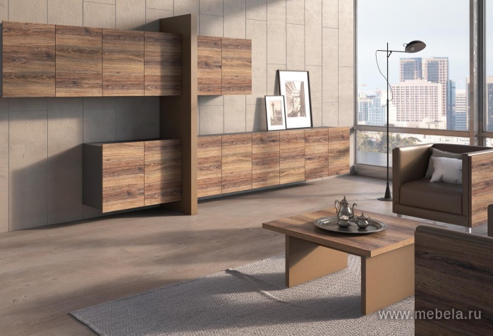 кабинет руководителя Era