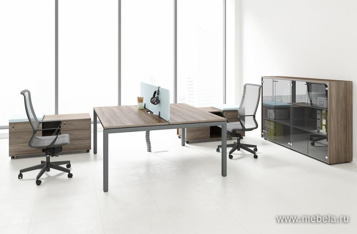 Офисная мебель Polo