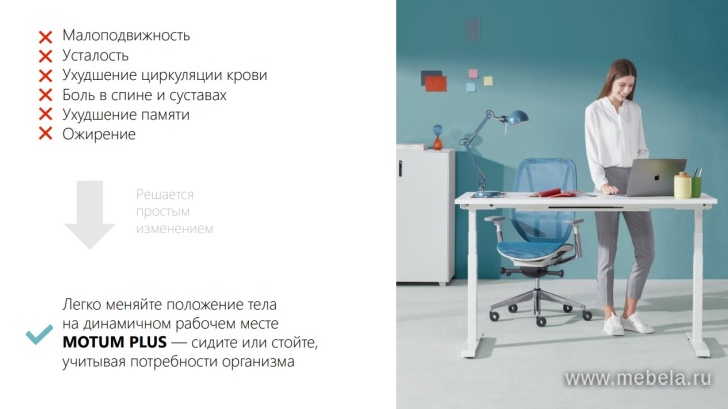 мебель Motum Plus