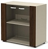 Офисный шкаф низкий  со стеклянными фасадами