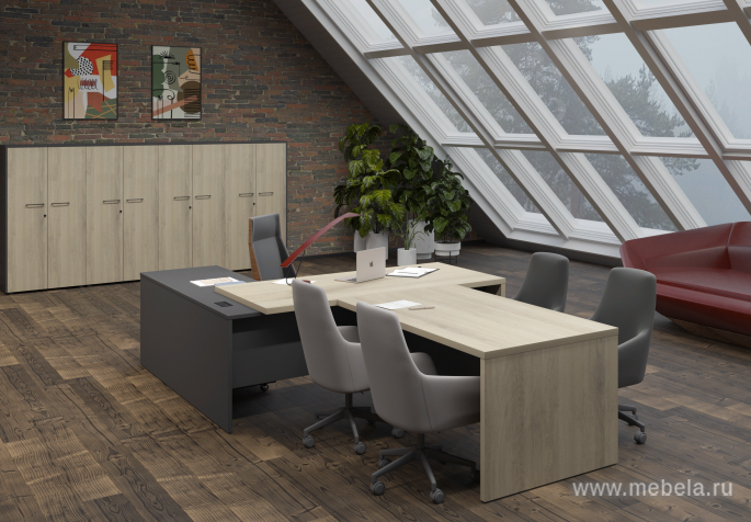 кабинет Kortez White