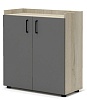 Офисный шкаф для документов низкий закрытый