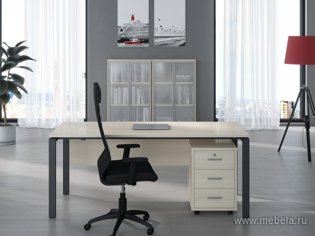 кабинет Trend Metal