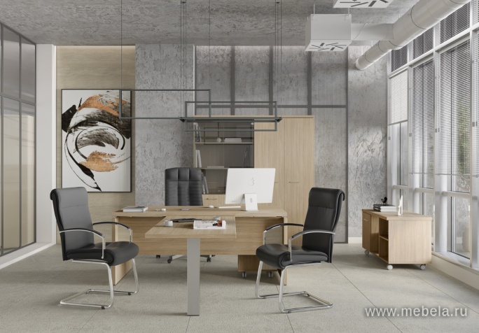 кабинет Патриот +