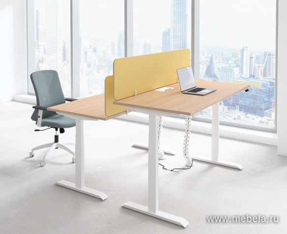 мебель Motum Plus