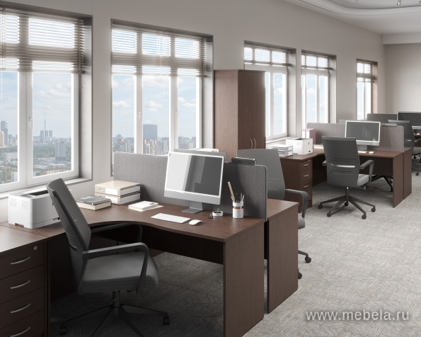 мебель Riva Wenge