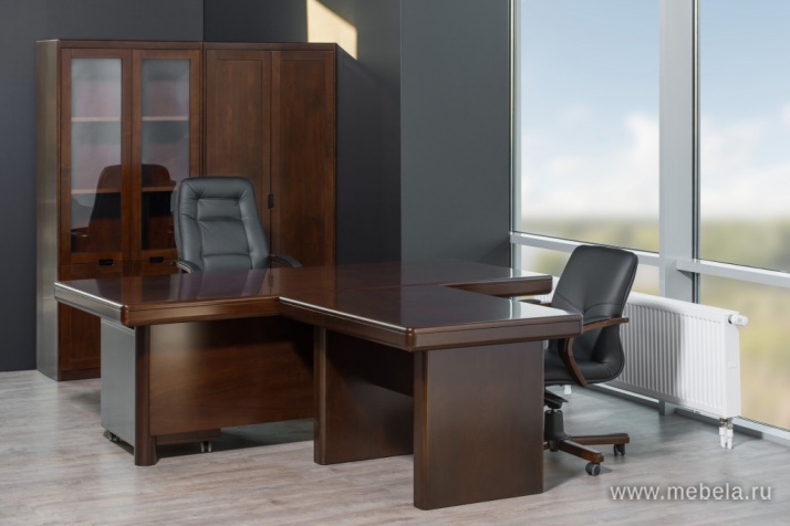 кабинет Zaragoza