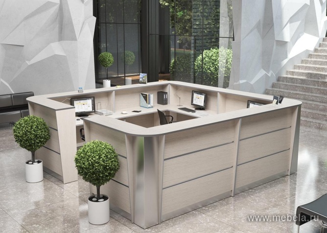 ресепшн Rapid White