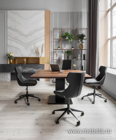 кабинет Tesla