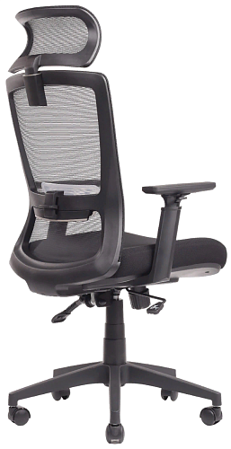 фото кресло RV-W-202 №4