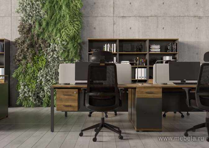 мебель Concept Light