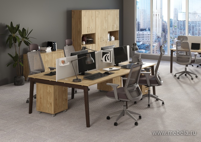 мебель Onix Wood