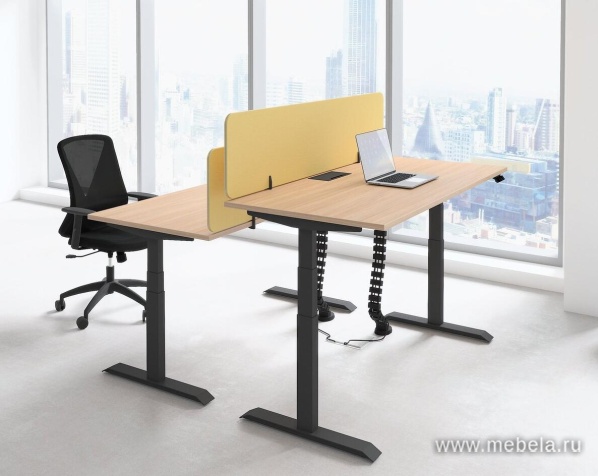 мебель Motum Plus