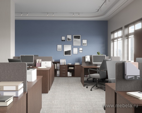 мебель Riva Wenge