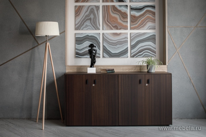 кабинет Tesla