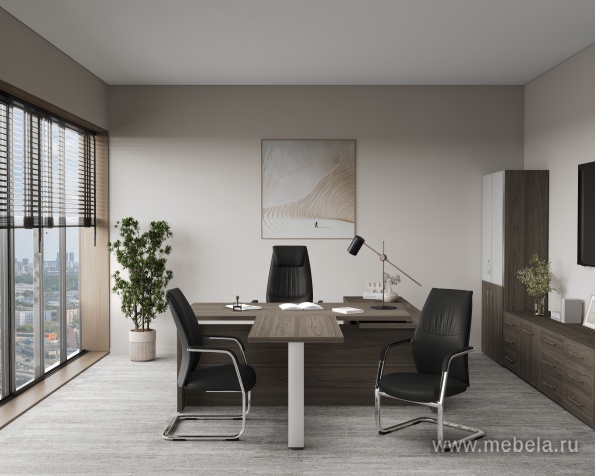 кабинет Yalta Elm