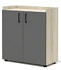 Офисный шкаф для документов низкий закрытый