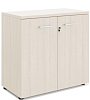 Офисный шкаф низкий, 2 двери