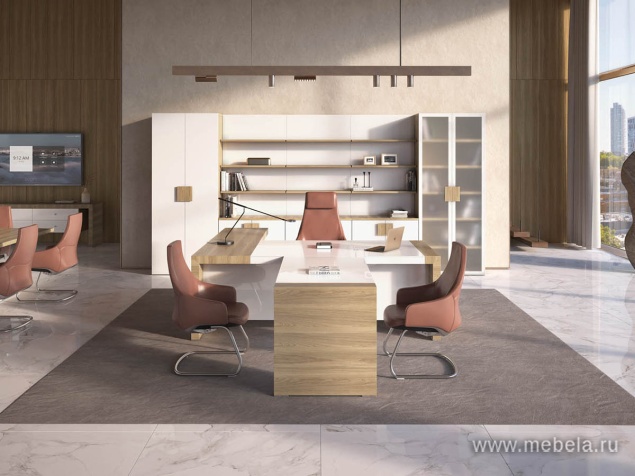 кабинет Kyu DM +