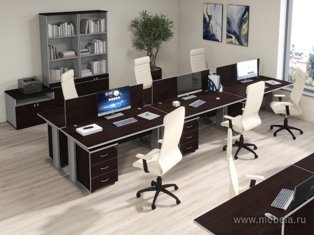 мебель Swift Wenge