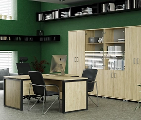 кабинет Аргентум-М Баттл